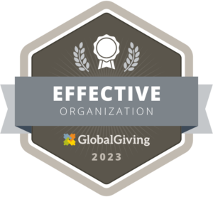 Effective Organization 2023